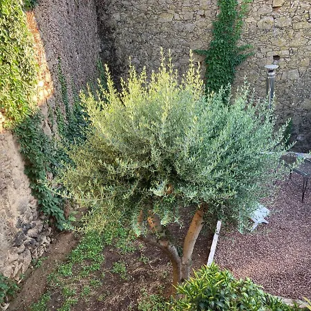 El Jazmin De La Fuente *