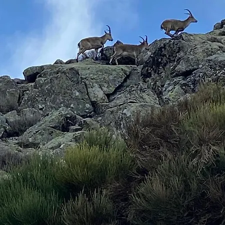 El Jazmín De La Fuente Сasa de vacaciones Guijo de Santa Bárbara