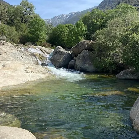 El Jazmín De La Fuente *